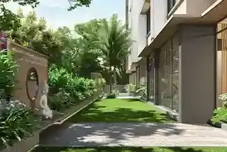 Open Lawn